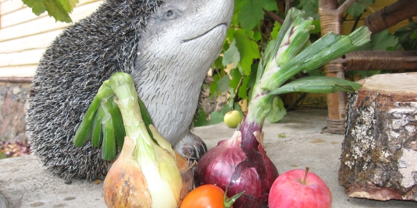 Šviežia, sveika ir skanu!